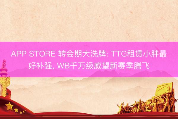 APP STORE 转会期大洗牌: TTG租赁小胖最好补强， WB千万级威望新赛季腾飞