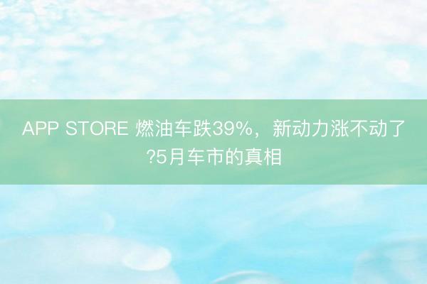 APP STORE 燃油车跌39%,新动力涨不动了?5月车市的真相