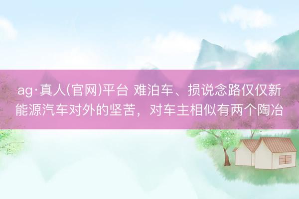 ag·真人(官网)平台 难泊车、损说念路仅仅新能源汽车对外的坚苦，对车主相似有两个陶冶