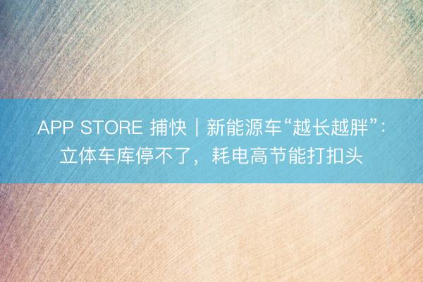 APP STORE 捕快｜新能源车“越长越胖”：立体车库停不了，耗电高节能打扣头