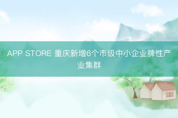 APP STORE 重庆新增6个市级中小企业脾性产业集群