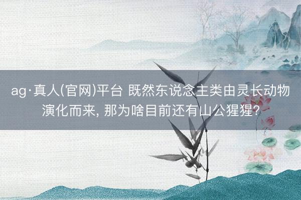 ag·真人(官网)平台 既然东说念主类由灵长动物演化而来， 那为啥目前还有山公猩猩?