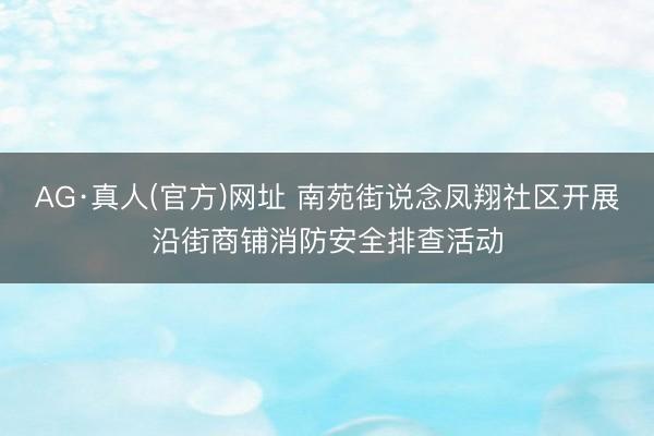 AG·真人(官方)网址 南苑街说念凤翔社区开展沿街商铺消防安全排查活动