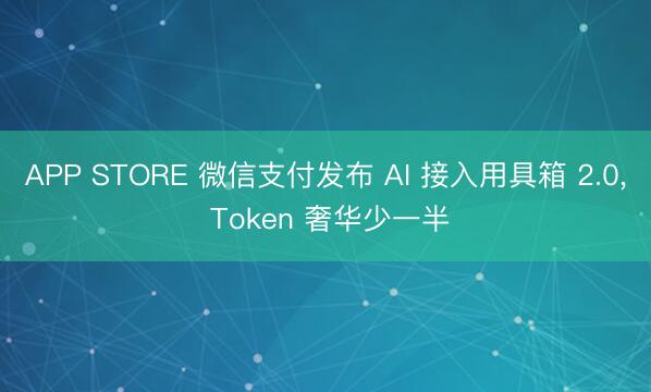 APP STORE 微信支付发布 AI 接入用具箱 2.0， Token 奢华少一半